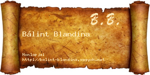 Bálint Blandina névjegykártya